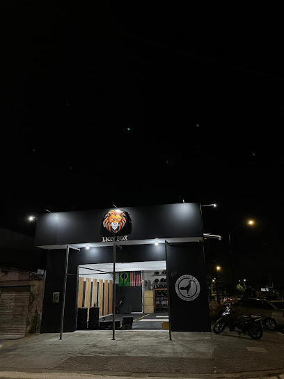 Lion Box (Cross Training)