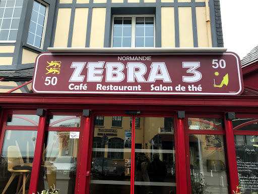 Zebra 3 - Visual