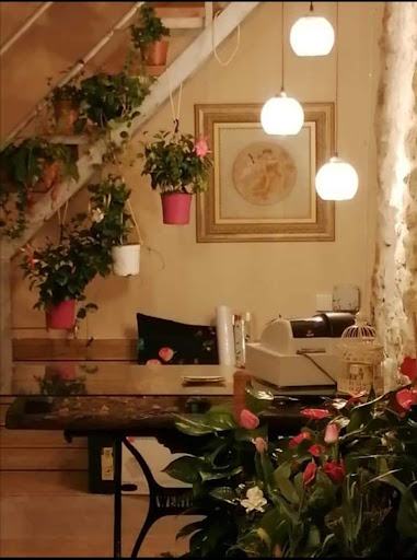 101 FLOR - Visual