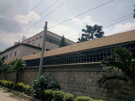 Af1qippiop4d7gzrfdpge9sq6pbp2lmhlrnqp5gp9spt=s451 K No