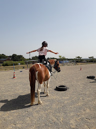 Photo n°26 de Ferme équestre de Lupiac à Lupiac (Centre équestre)