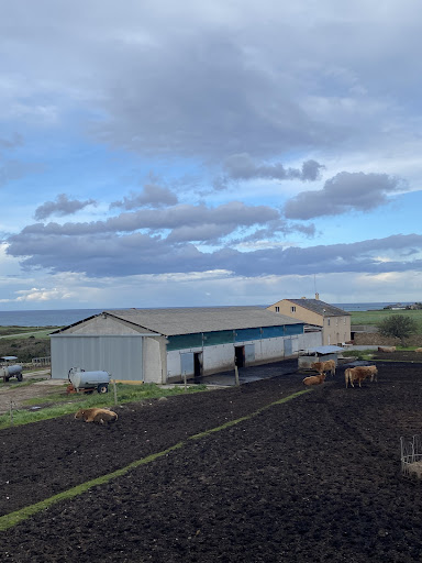 Esteiro - Visual