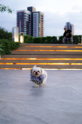 Shama Yen-Akat Bangkok by null