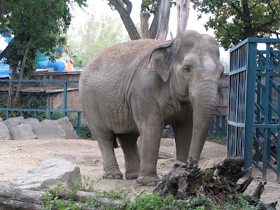 Photos of Budapest Zoo & Botanical Garden