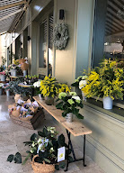 Arsène et Philomène à Saint-Didier-au-Mont-d'Or