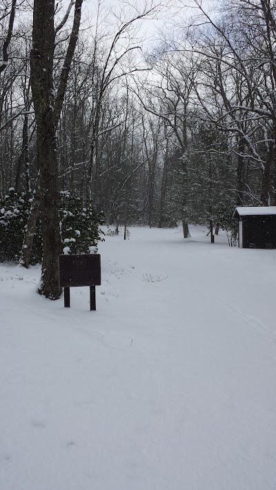 Photos of Beartown State Park