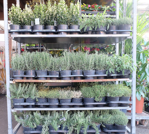 Blumen Fuchs Aschaffenburg - Thumbnail
