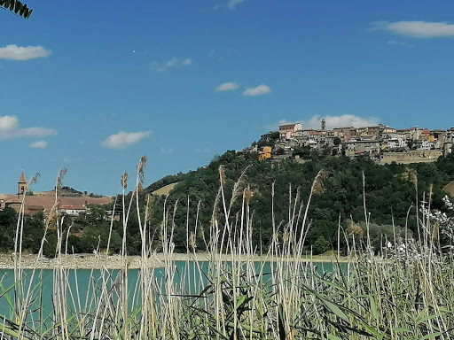 Mercatale 1 (Circonvallazione) - Thumbnail