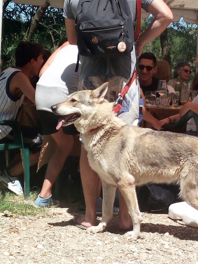 Osteria Maltrainsema