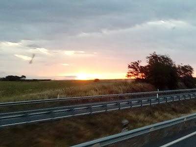 Photos of Olivar de las Mangas