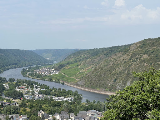 Moselblick Treis-Karden - Thumbnail
