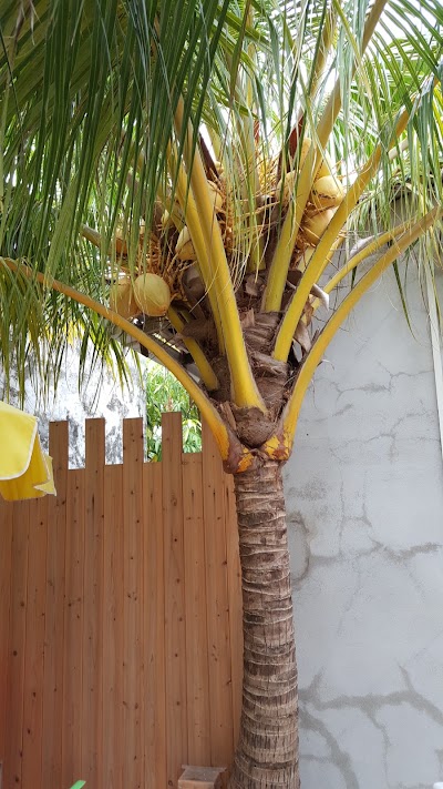 Photos of Huraa East inn