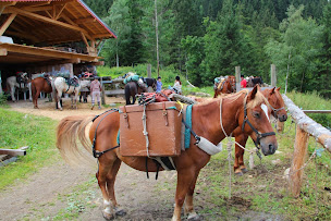 Photo n°93 de Auberge Nemoz à Le Haut-Bréda (Restaurant)