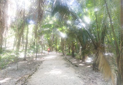 Photos of Corozal BZ Homes and Land