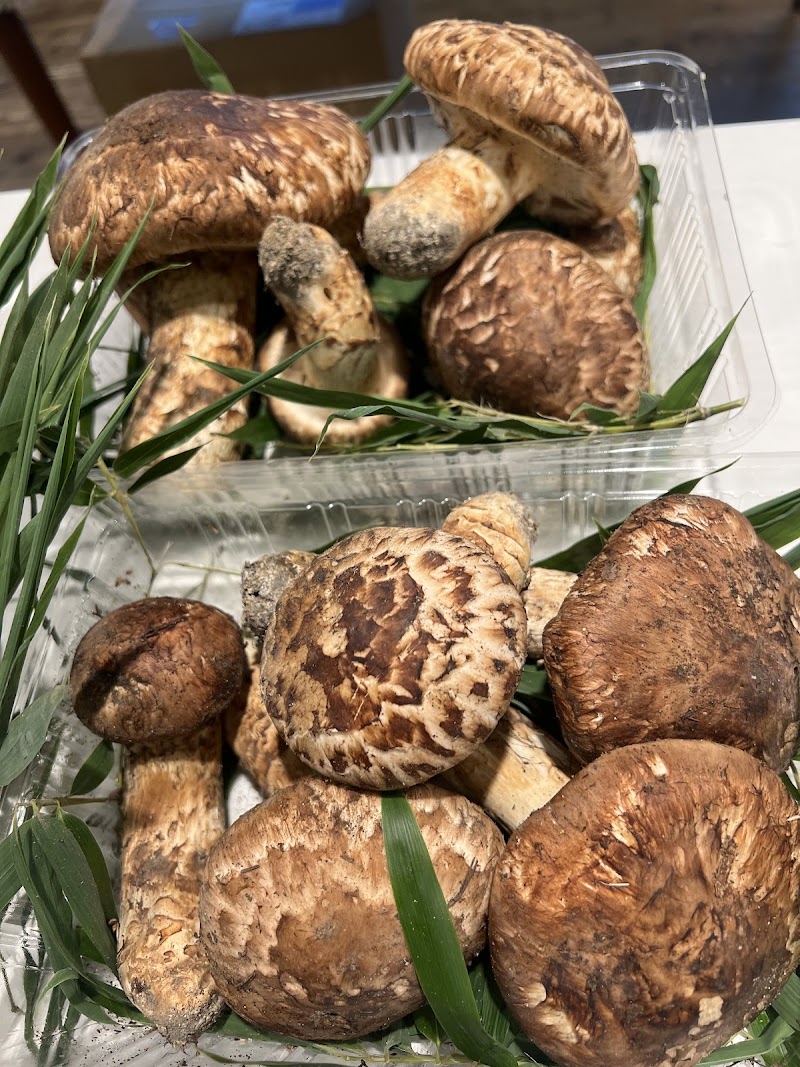 野菜専門店 マルシェノグチ