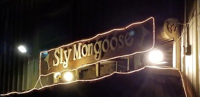 Sly Mongoose