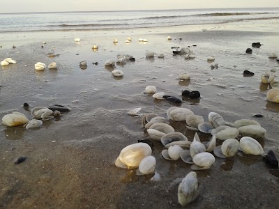 Photos of Usedomer Strandhaus