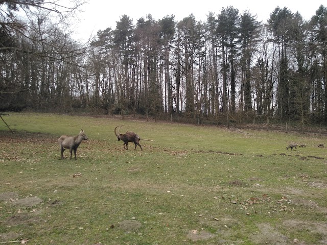 Parc animalier du château de Moidière