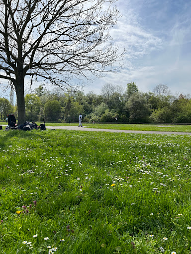 Rollschuhbahn - Visual
