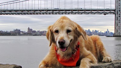 Photos of Angell Animal Medical Center