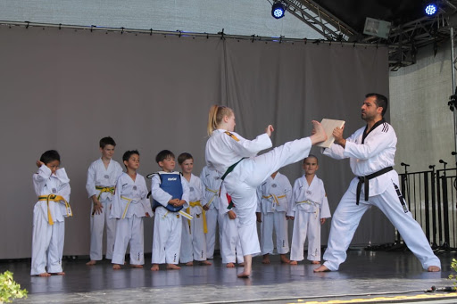 Taekwondo Ates Ettenheim e.V. Gallery - Germany