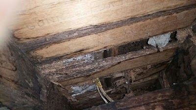 Photos of Inspect East Building Inspections