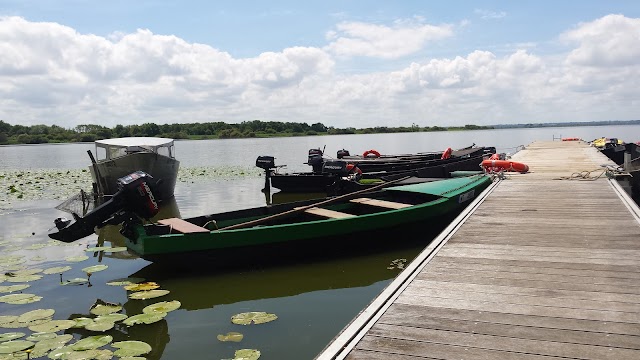 Lac de Grand-Lieu