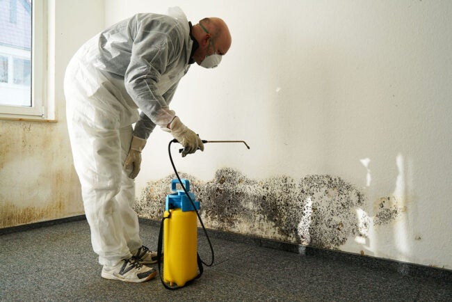 Certified Mold Removal Inspection and Testing Minneapolis MN photo