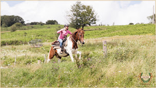 Photo n°2 de Oosting-HorseRiding à Lacrouzette (Agence de voyages)