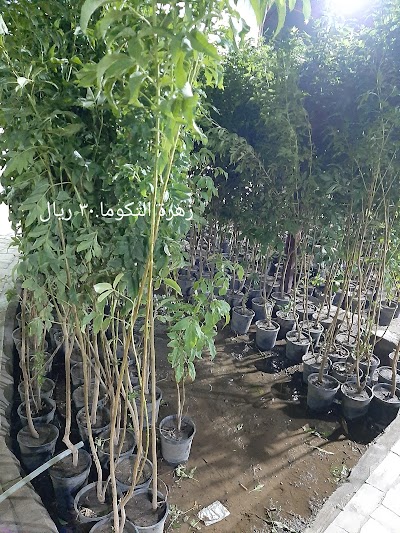 مشتل وادي عتود الدرب, Ad Darb, Jazan Region(+966 50 474 4711)