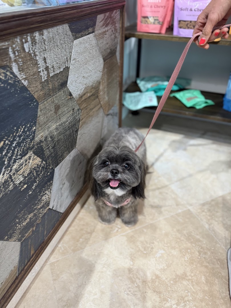 Pawphoria Grooming and Pet Market photo 2