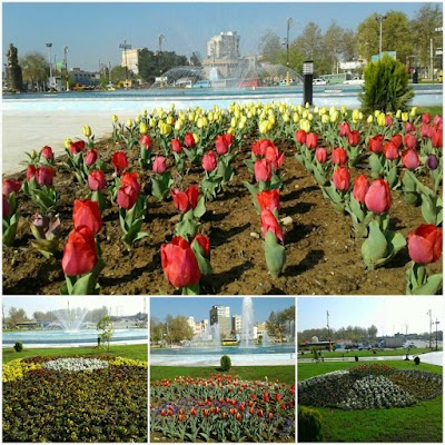Photos of میدان رازی