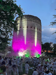 Photo n°9 de FL Organisation Services à Cénac-et-Saint-Julien (Agence événementielle)