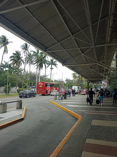 Terminal Central Veracruz, S.A. De C.V. - Thumbnail
