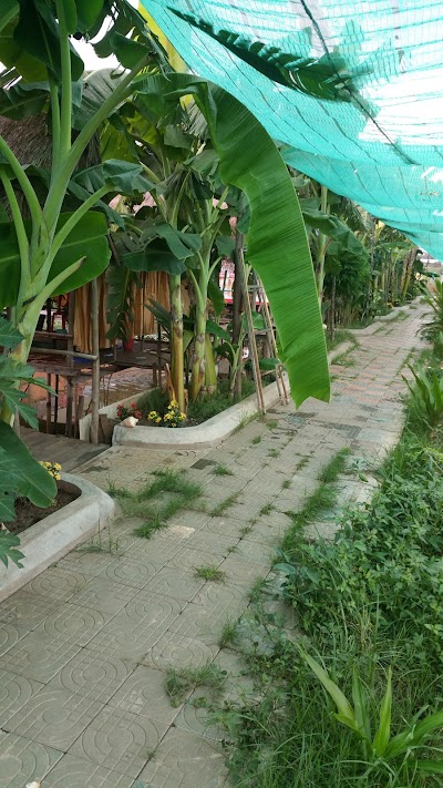 Photos of Snail Village