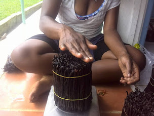 Photo n°31 de DavidVanille - Épices d'Exception à Lusigny-sur-Barse (Grossiste)