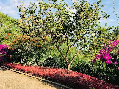 Photos of රණගිරිලෙන ආරණ්&zwj;ය සේනාසනය ‐ Ranagirilena Forest Monastery