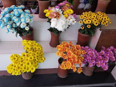 Photos of Art's Flores