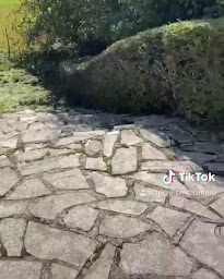 Photo n°25 de Angie SMITH Immobilier à Beauchamp (Consultant immobilier)