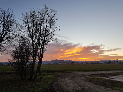 Parmareggio - Visual