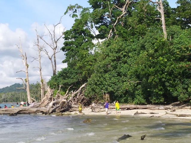 Elephant Beach
