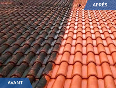 niko toiture nettoyage démoussage peinture hydrofuge toussieu feyzin mions