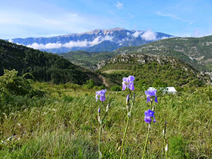 Photo n°13 de Gites et chambres d'hôte - Les Arnauds Me Pichon à Plaisians (Gîte)