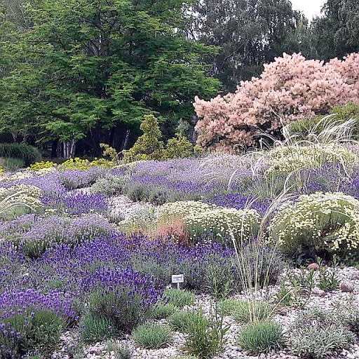 Nordic Walking im Britzer Garten - Thumbnail
