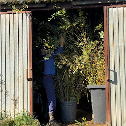 Photo n°14 de Les jardins de la Briquette à Burnhaupt-le-Haut (Restaurant)