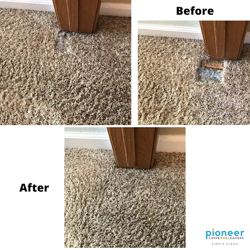 Pioneer Carpet Cleaners - Thumbnail
