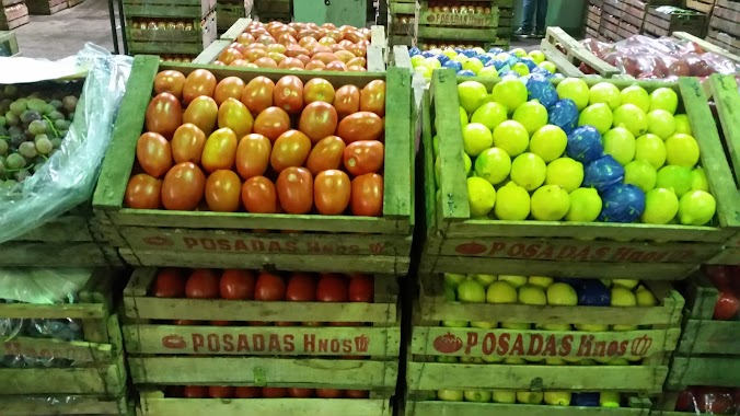 Mercado Frutihorticola De Abasto XXI, Author: Leiva José