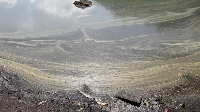 Photos of Nature Park Telogo Warno