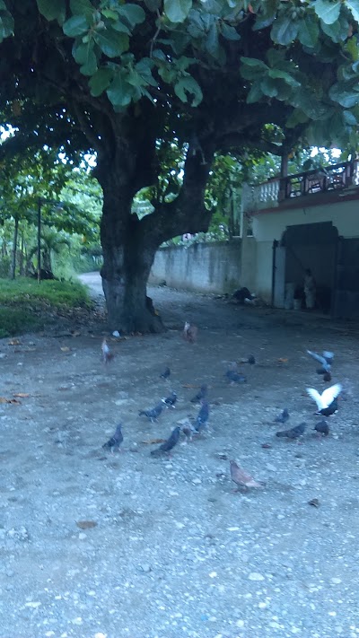 park