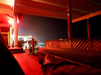 Photos of Blue Marlin